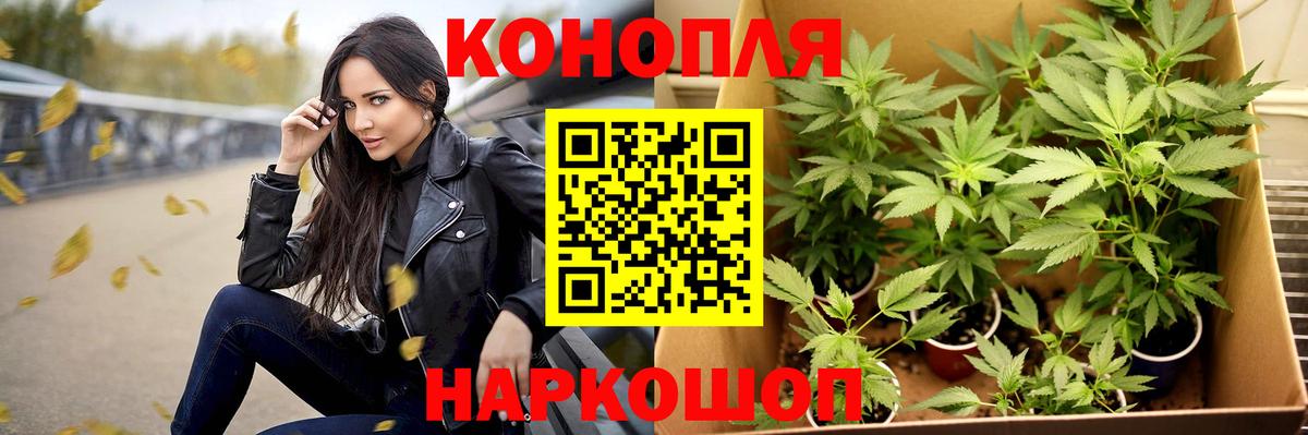 МАРИХУАНА тримм  Бошки Шишки SATIVA & INDICA  Каменск-Уральский  Конопля Amnesia  Вход с VPN 